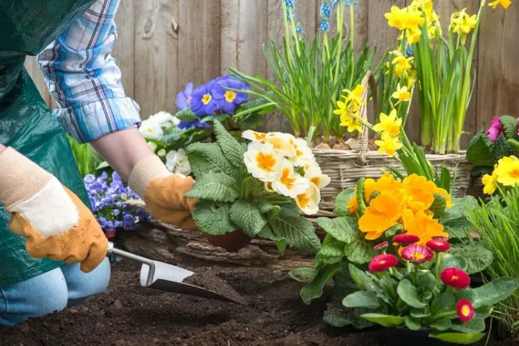 Watering can used efficiently-best gardening techniques