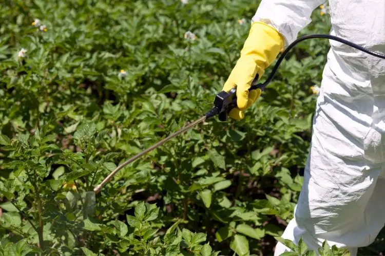 Pesticide bottle labeled 'safe for vegetables'-best pesticides for home gardens