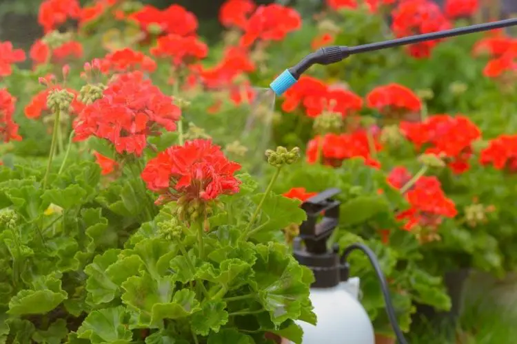 Best pest control solution for home use-best pesticides for home gardens