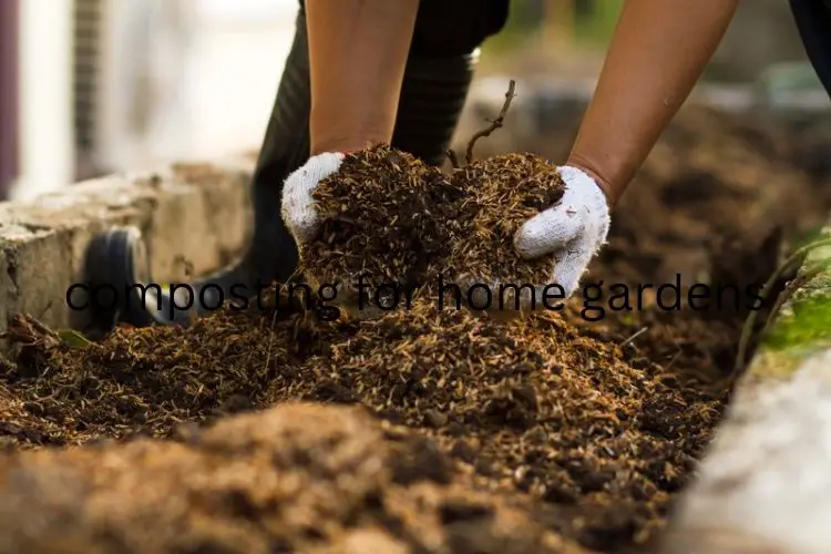 Kitchen waste added to compost bin-composting for home gardens