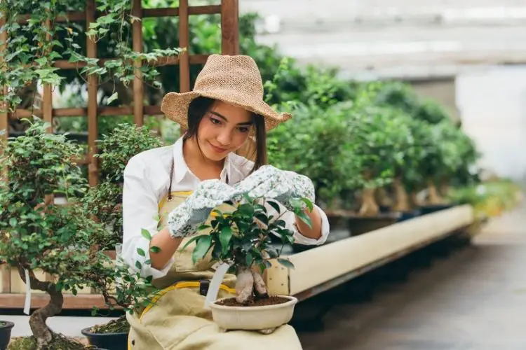 Hand tools for preparing beginner gardens-gardening tips for beginners