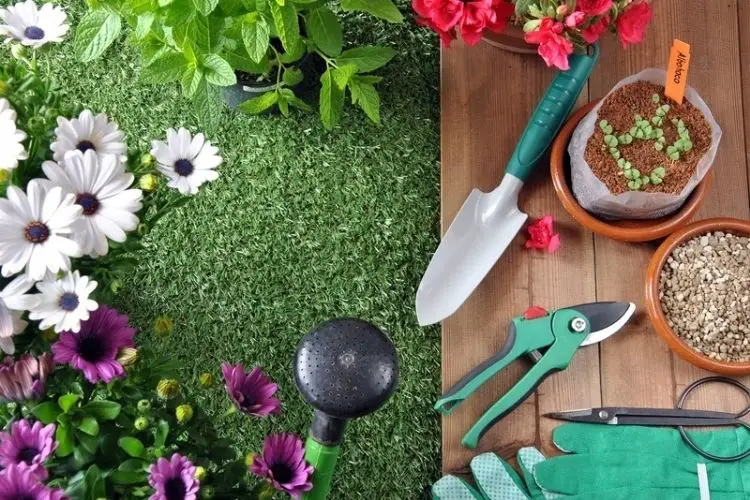Essential gardening tools on display-gardening tools for beginners