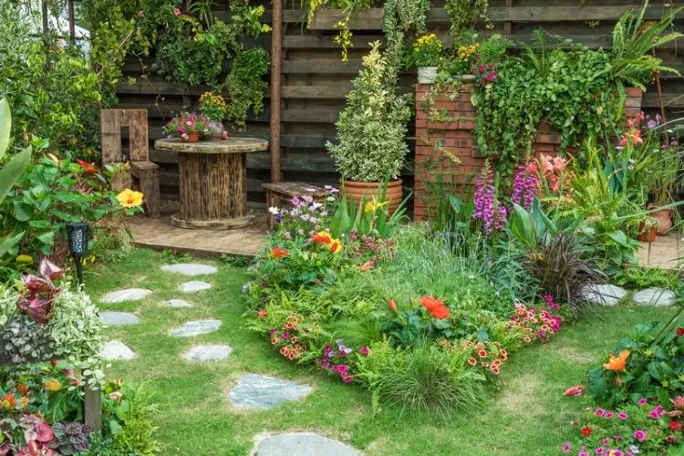 Outdoor plants watered in the evening-how to care for outdoor plants