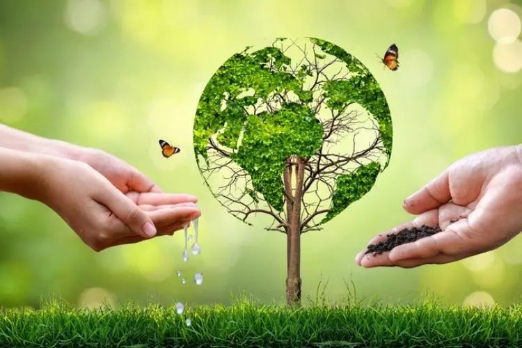 Zero-waste garden with no plastic use-how to create a zero-waste garden