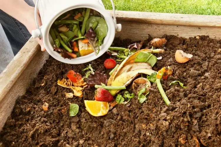 Turning compost for faster breakdown-how to make compost at home