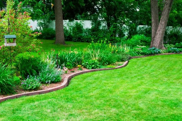 Drawing a garden plan on paper-how to plan a garden layout
