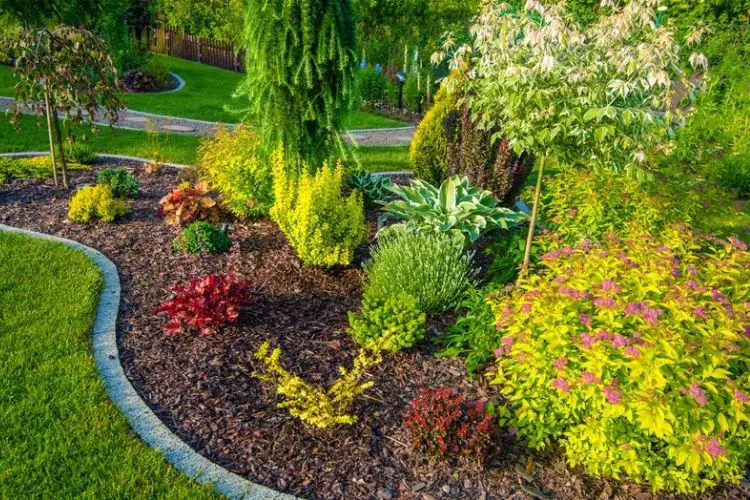 Tips for efficient garden planning-how to plan a garden layout