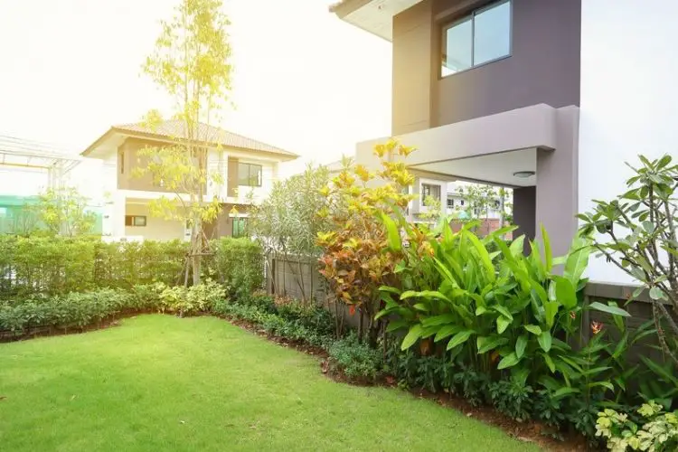 Essential tools for beginner home gardens-how to start a garden at home