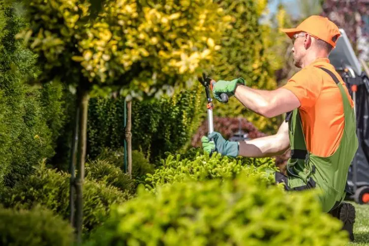 Winter gardening tools in use-seasonal gardening tips