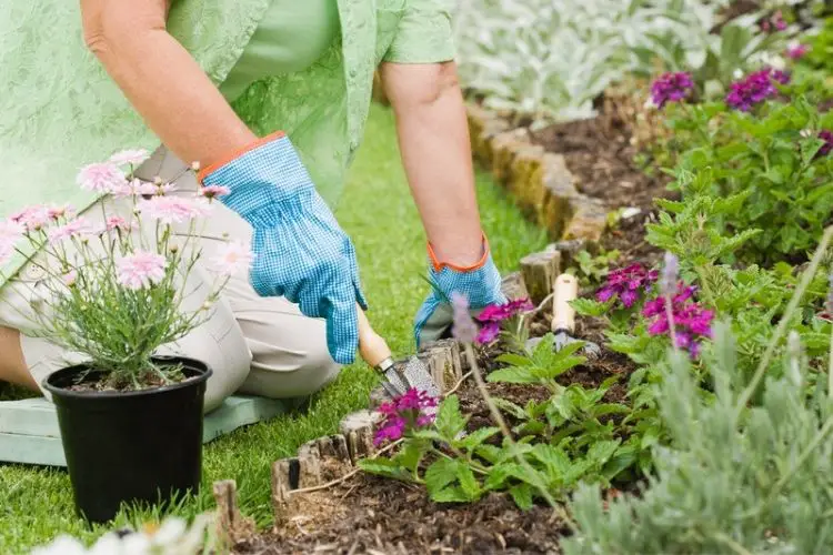 Shade cloth protecting plants-tips for gardening in hot climates