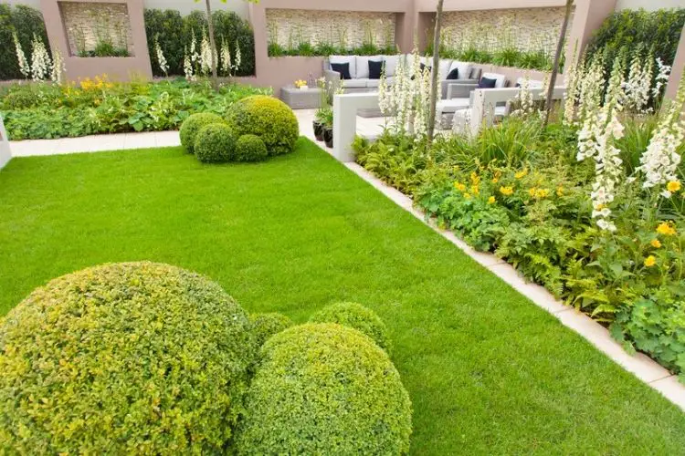Tips for growing in high heat-tips for gardening in hot climates