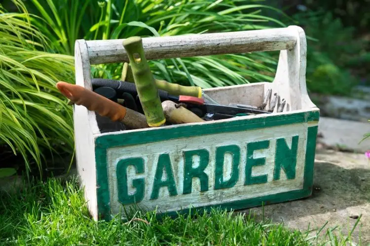 Gardening gloves next to flower pots-tools needed for home gardening