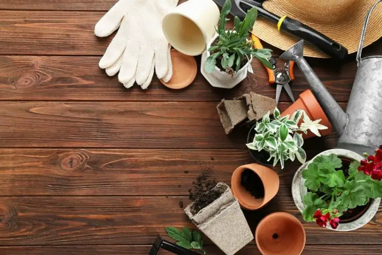Set of must-have tools for gardening-tools needed for home gardening