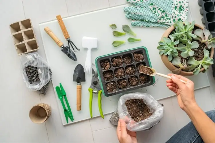 Hand trowel and pruners for small plants-tools needed for home gardening